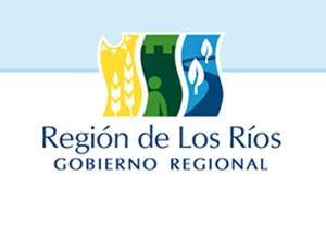 300ppgore.jpg 300ppgore.jpg